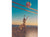 Pelota de Playa Hinchable Pop Art 65 cm